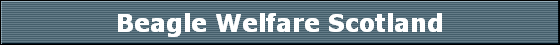 Beagle Welfare Scotland