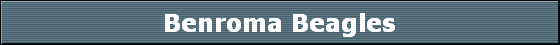 Benroma Beagles