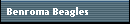 Benroma Beagles