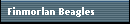 Finmorlan Beagles 