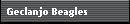 Geclanjo Beagles