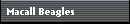 Macall Beagles
