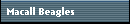 Macall Beagles