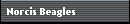 Norcis Beagles