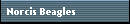 Norcis Beagles