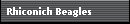 Rhiconich Beagles