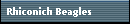 Rhiconich Beagles