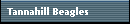Tannahill Beagles