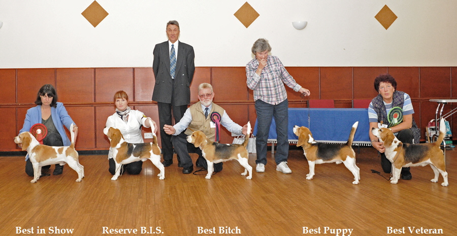 Best in Show           Reserve B.I.S.             Best Bitch                        Best Puppy             Best Veteran