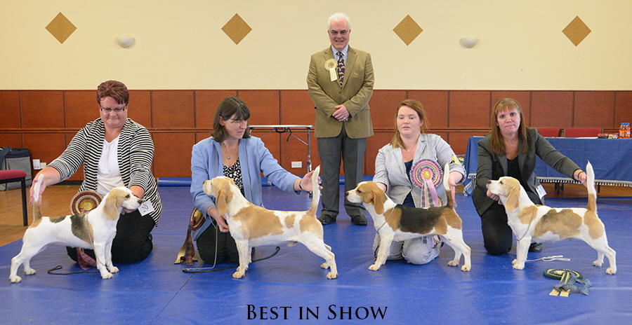 Best in Show