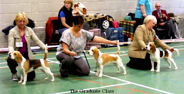 The Graduate Class