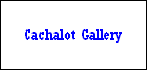 Cachalot Gallery
