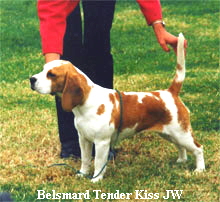 Belsmard Tender Kiss JW