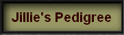 Jillie's Pedigree