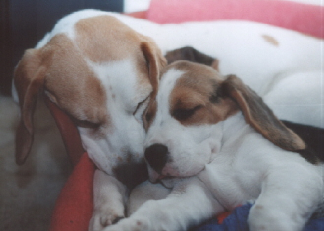 Despite the 11 year age gap Katie & Molly were best of friends