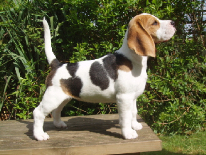 Emma standing at 9 weeks