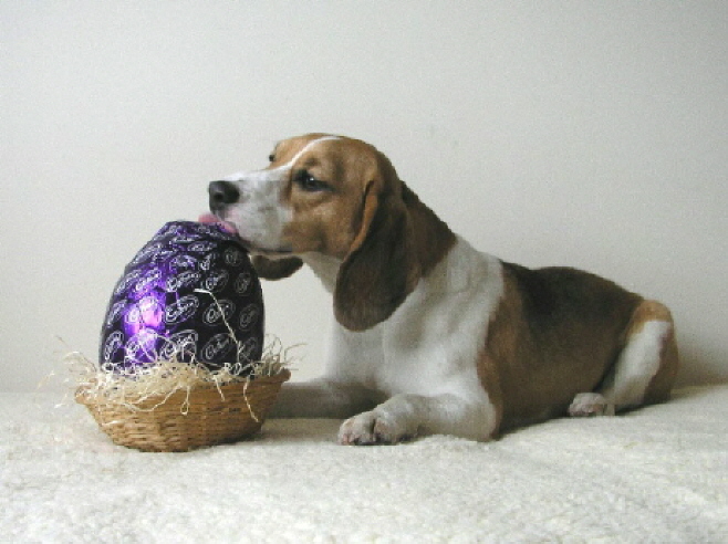 My little sweetie looks forward to Easter with a little sweetie