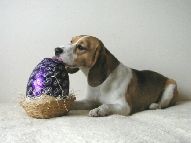 My little sweetie looks forward to Easter with a little sweetie