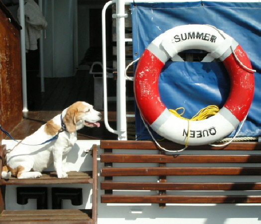 Summer_Isles_6th_May_2006_02813