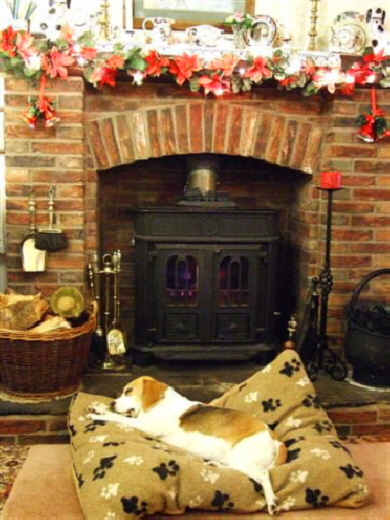 Waiting for Santa is Chris Hartland's