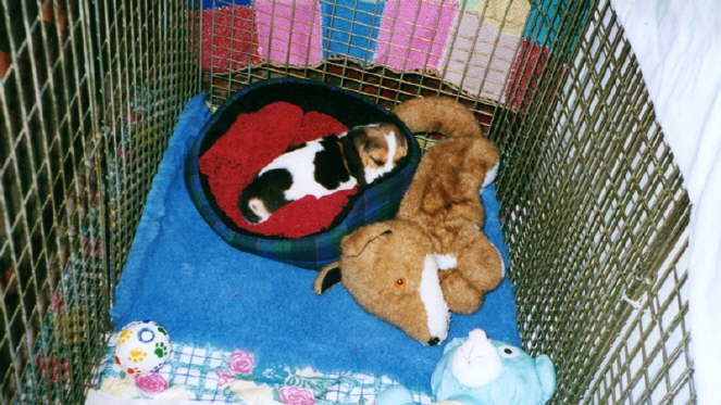 img066-cleo