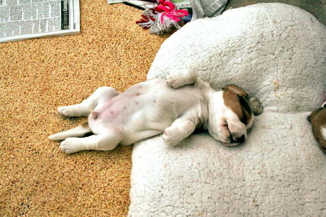 laid back patti
