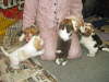 opt-4-weeks-008-marada